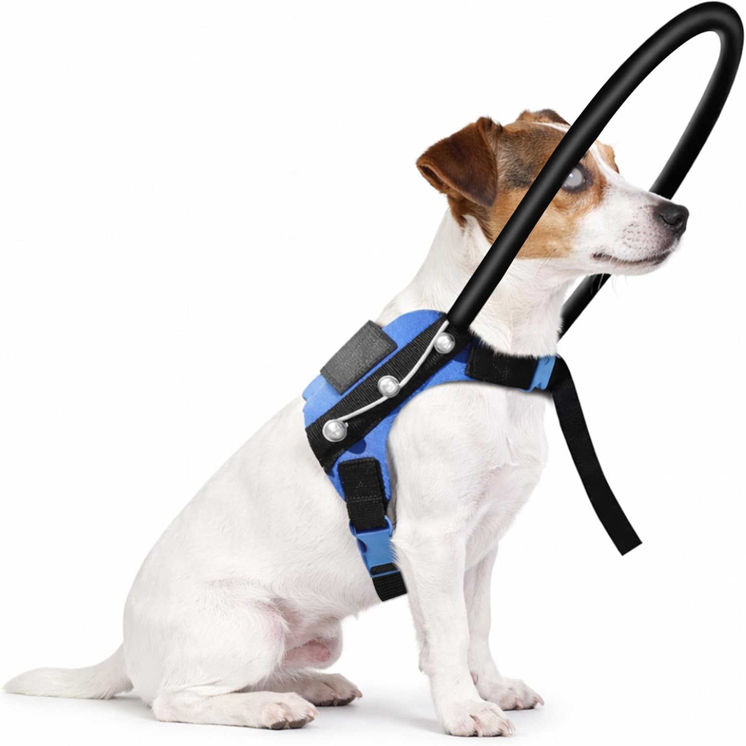 Blind Dog Halo Harness with Protective Collar, Adjustable Guiding Device for Visually Impaired Pets, Helping Visually Impaired Pets Move Safely and Confidently (7.5-11.5In)