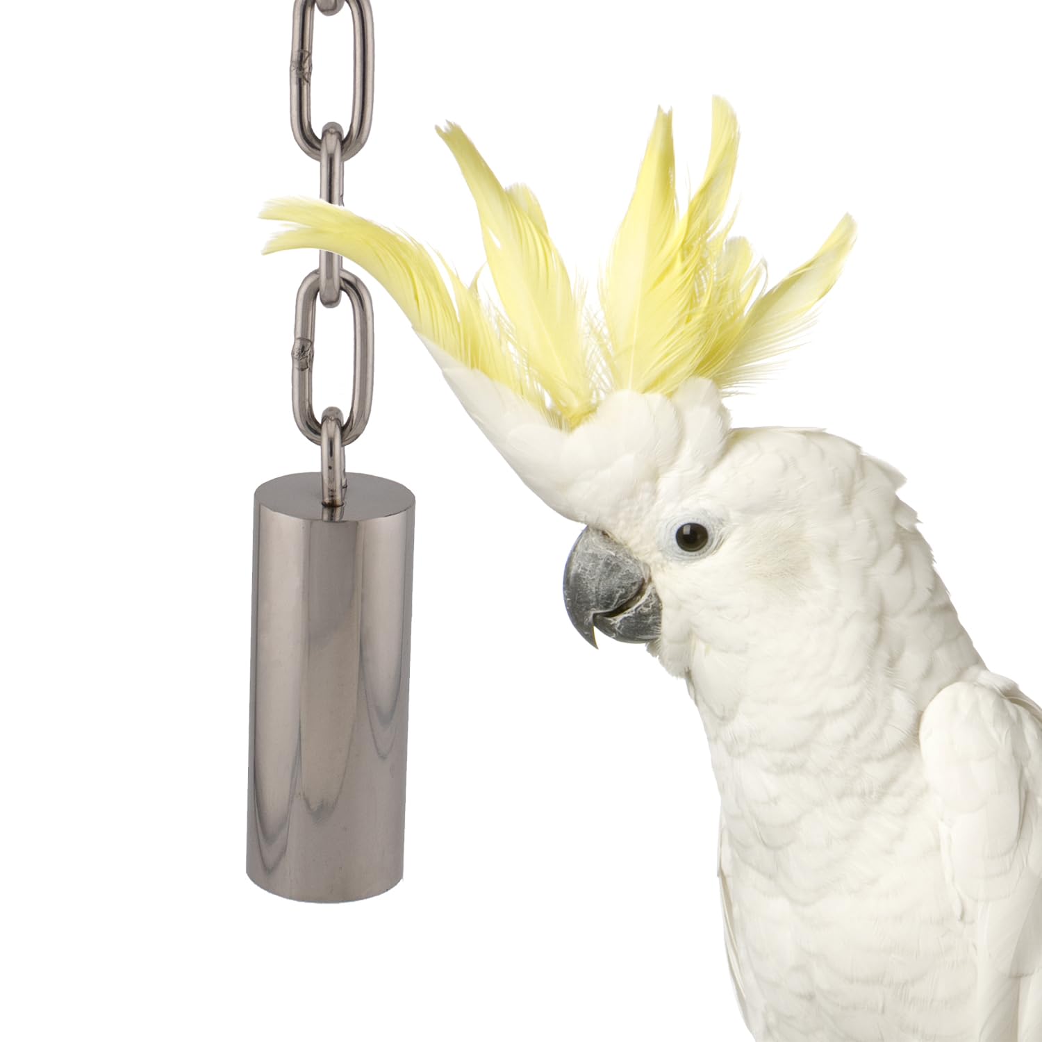 Super Bird Creations SB1242 Stainless Steel Tube Bells - Bird Cage Accessory for Sound Enrichment - Ideal for Parrots, Amazons, Greys, Cockatoos and Macaws (Medium)