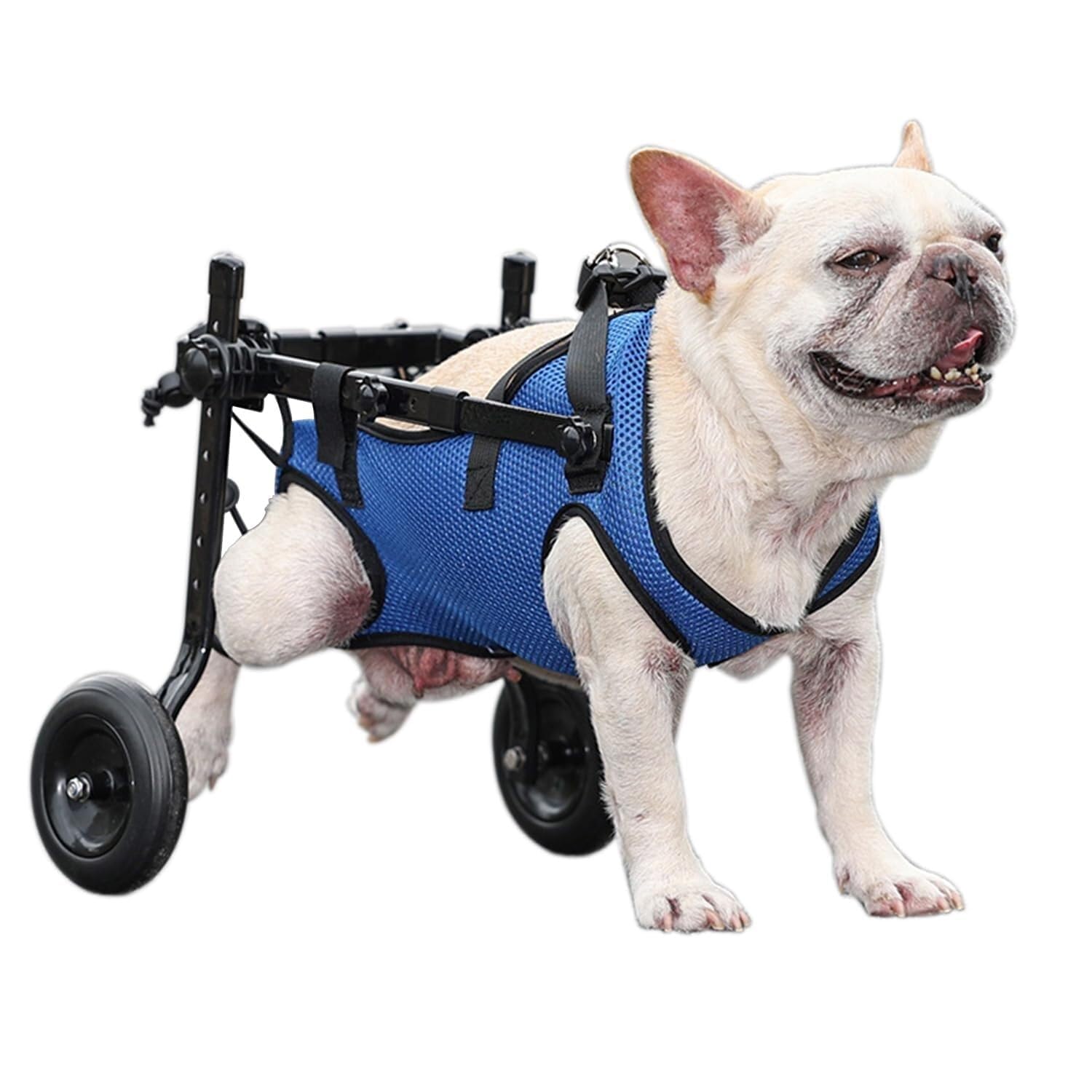 Silla de ruedas para perros con movilidad reducida: carrito ajustable para mascotas