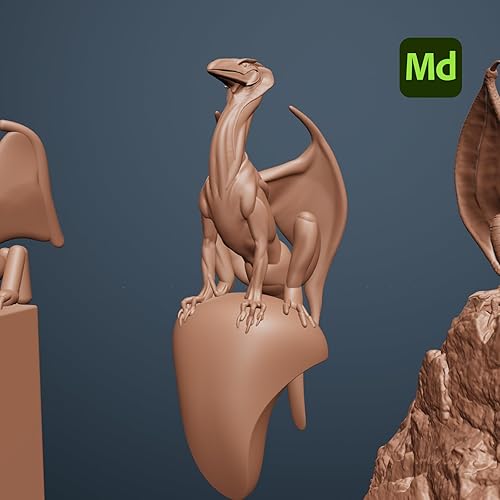 Meta Quest Pro & Adobe Creator Bundle