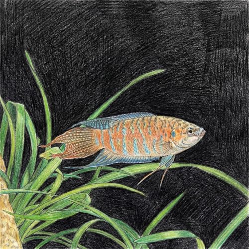 呼吸する迷宮：パラダイスフィッシュと「敗者の記憶」