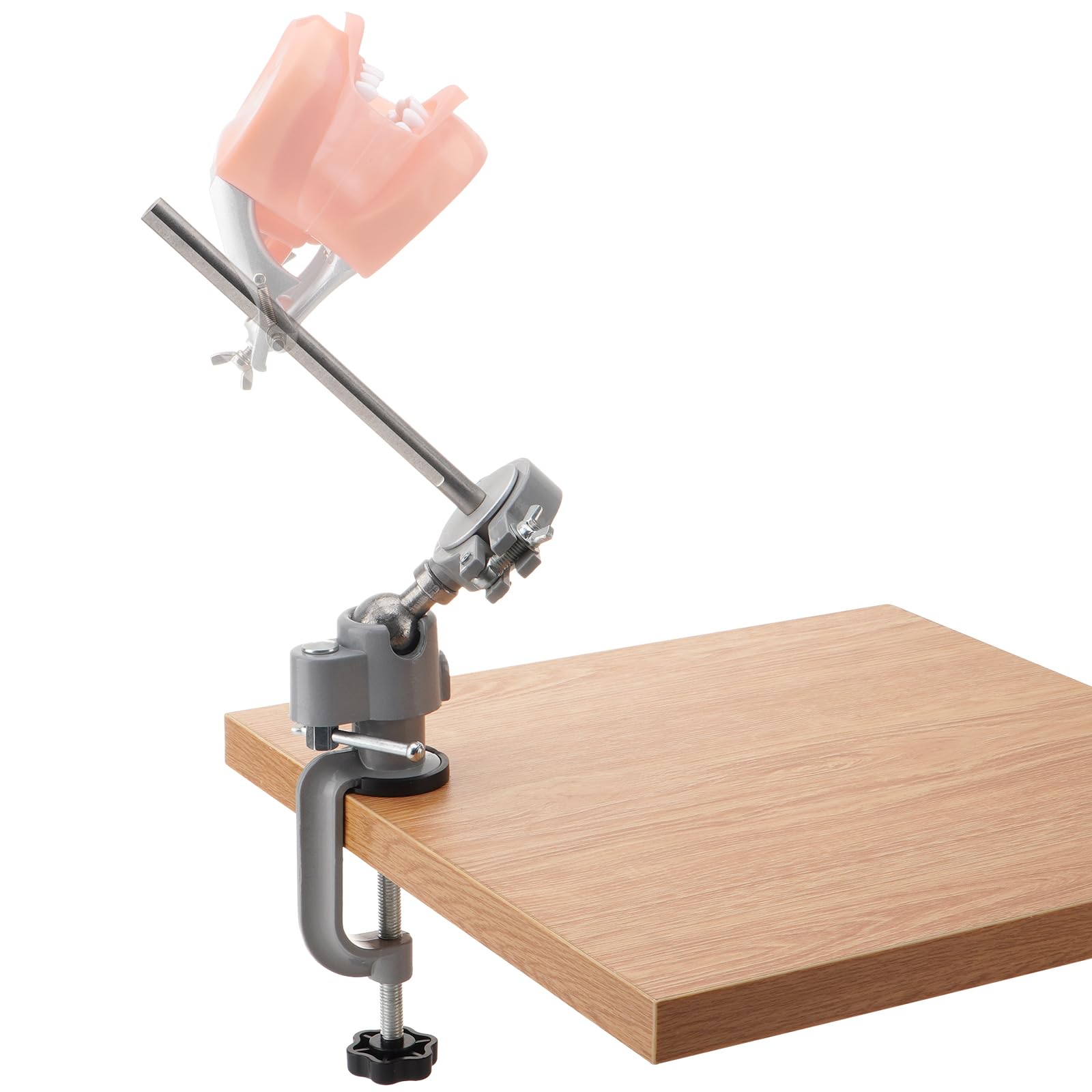 PER4MANCE Dental Typodont Mounting Pole: 360° Rotating & No Assembly Required, Ideal for Education and Training（Typodont Teeth Model is NOT Included）