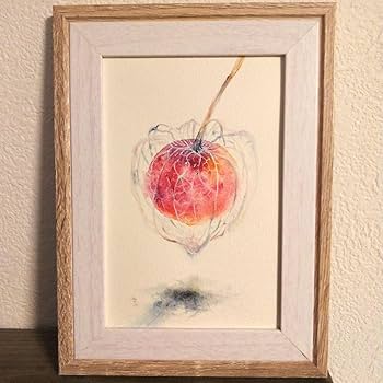 油彩画 植物の花ホオヅキ Amazon.co.jp: ほおずき 鬼灯 植物 水彩画 アート 絵画 原画