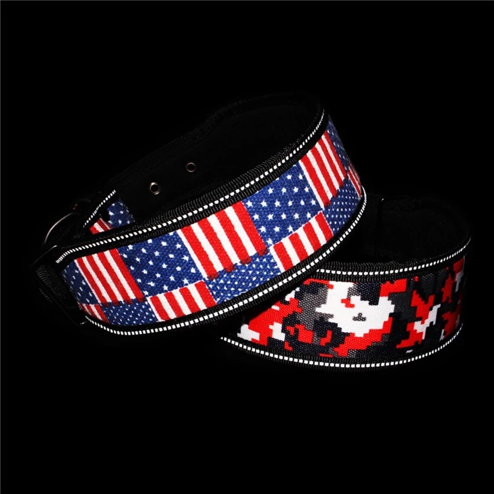 Laisse pour Chien Collier réglable pour Animal de Compagnie avec Boucle pour Petits, Moyens et Grands Chiens Pitbull Leash Dog Chain Longe pour Chien (Color : Diamond, Size : L)