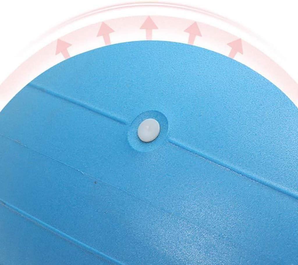 SH-PH Yoga Ball Exercise Donut Yoga Ball Workout Core Training Stability Ball for Yoga Pilates Balance Training with Inflatable Pump, Diameter: 50 Cm / 19.7 Inch (Color : D)