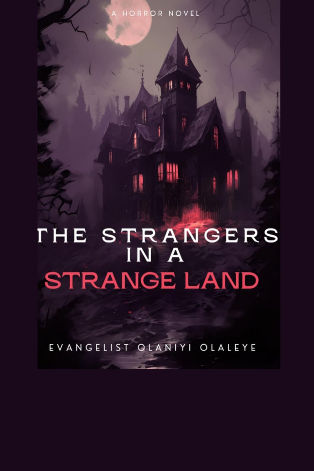 THE STRANGERS IN A STRANGE LAND: A Novel of Love, Faith, Mystery, and Destiny