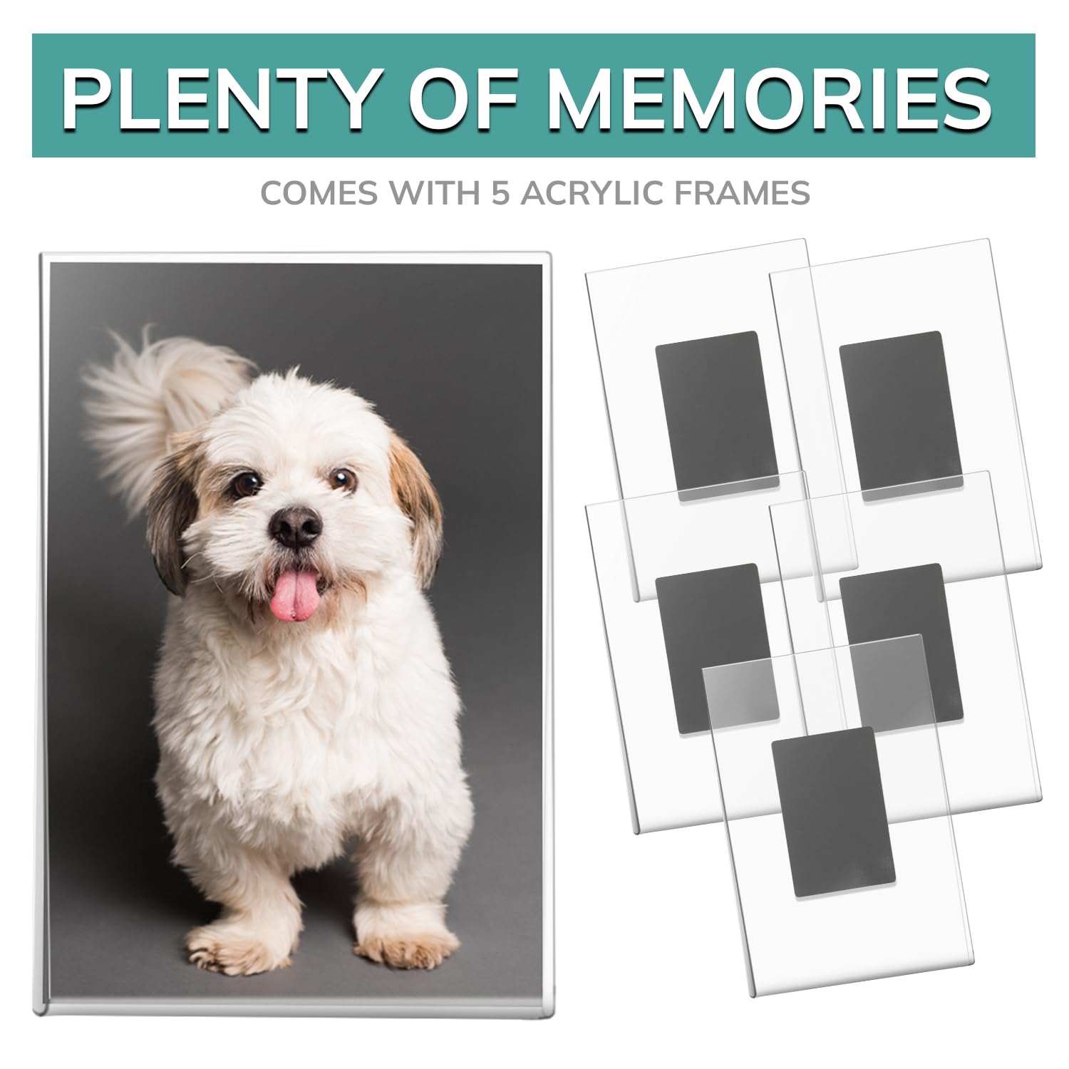 Amazon.com - pbf 4x6 Magnetic Picture Frames for Refrigerator | 4