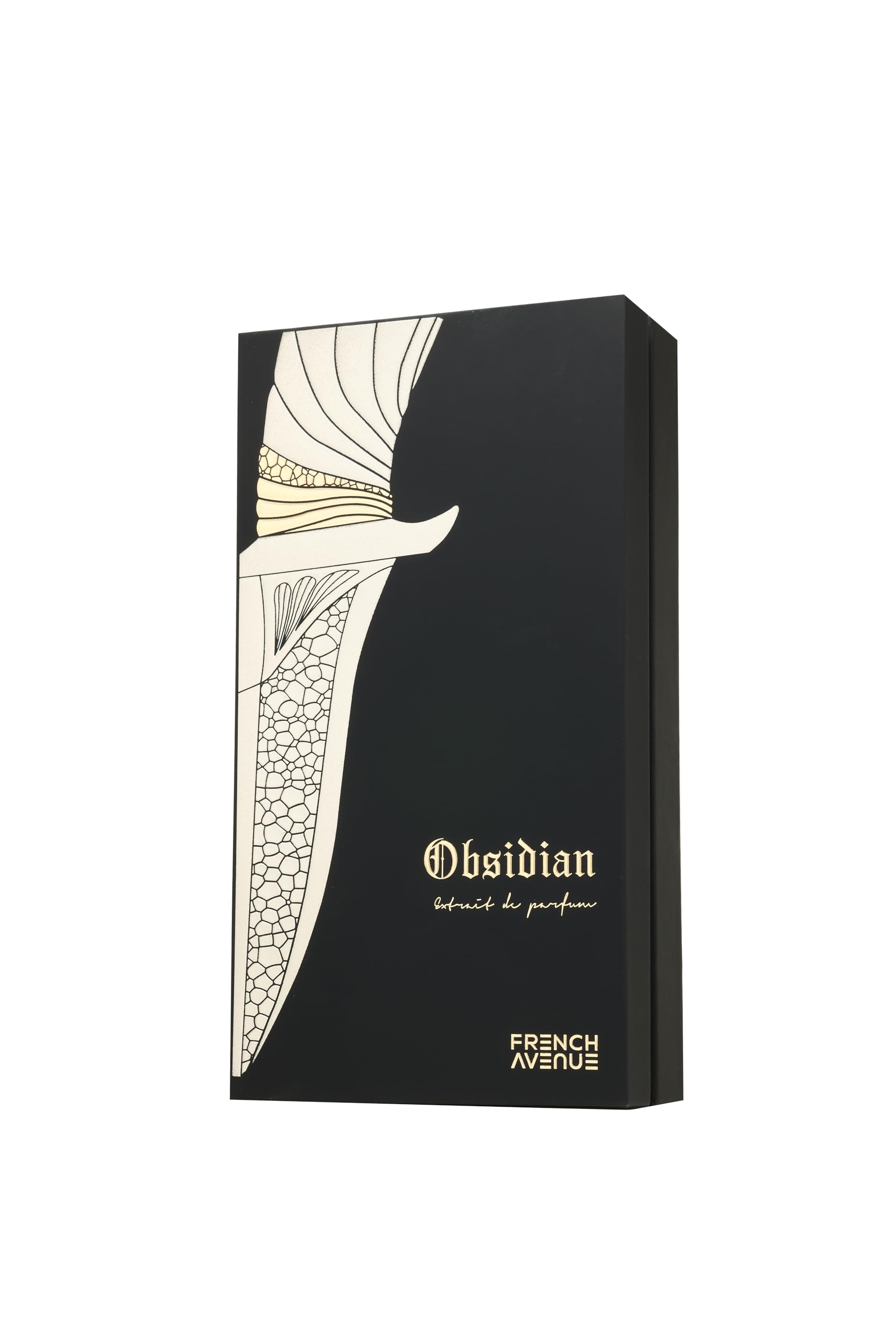 Obsidian Extrait de Parfum, Oriental Woody Fragrance, 100ml, 3.4 fl oz, Unisex Perfume