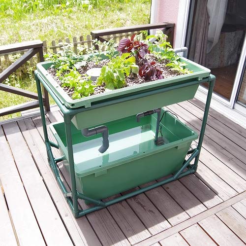 Amazon | アクアポニックス 水耕栽培 中型 キット オーバーフロー 水槽