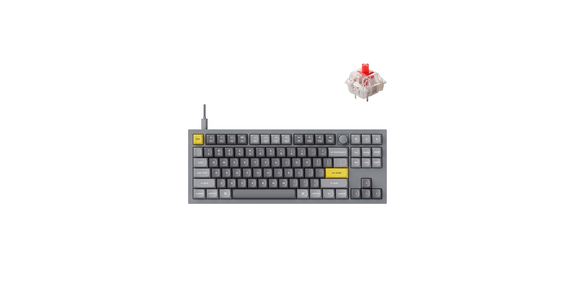 61BUe9PzyLL.jpg_BO30,255,255,