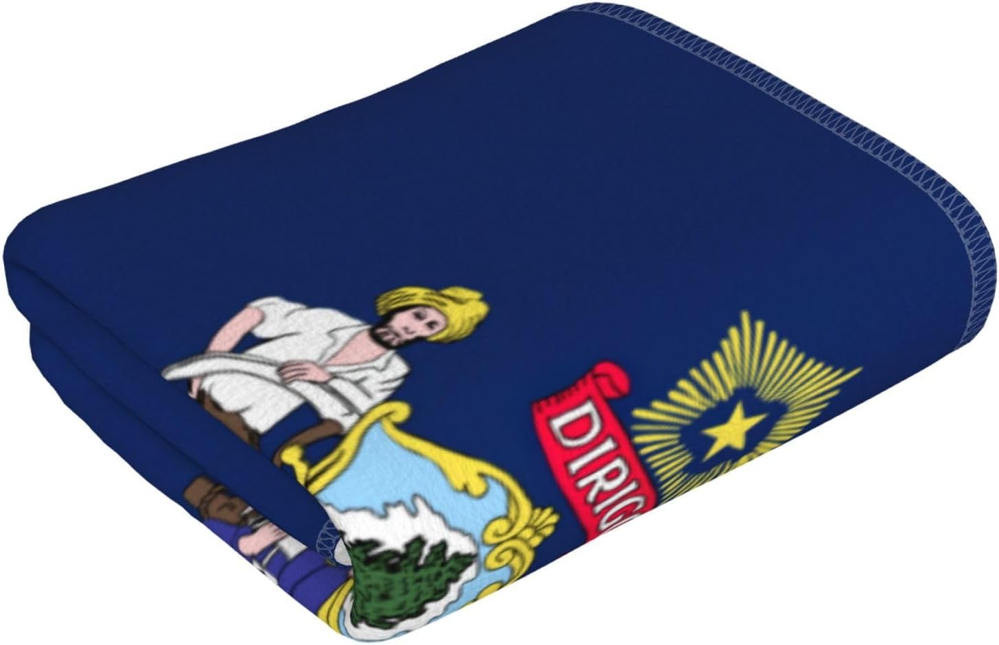 Maine State Flag Print Hand Towels for Kitchen, Decorative Bathroom Towels Decor Farmhouse Cute for Men Women Gifts