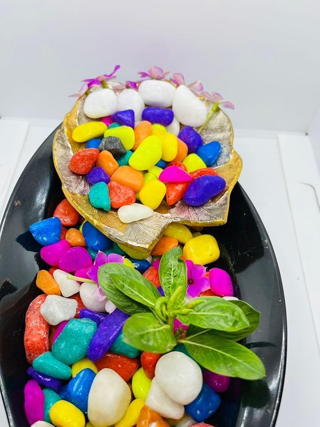 Image of BKD 1Kg Multi Colored Pebbles /Gravels /Stone Pebbles for Gardening & All Purpose Pack