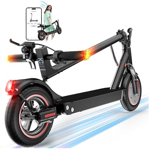 Hopycycle Electric Scooter, 1000W Motor, 25 MPH, 10'' Tires
