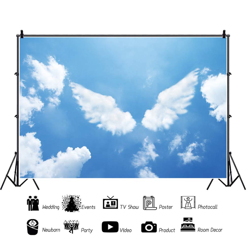 Amazon.com : Yeele 10x5ft Angel Wing Cloud Backdrop for