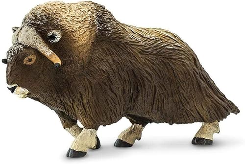 Miniatura 5 de Safari Ltd Vida silvestre norteamericana Muskox construcción de calidad a partir de materiales libres de ftalatos plomo y BPA para edades de 3 años