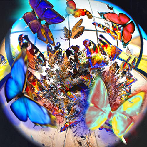1 Year Of Butterfly Records