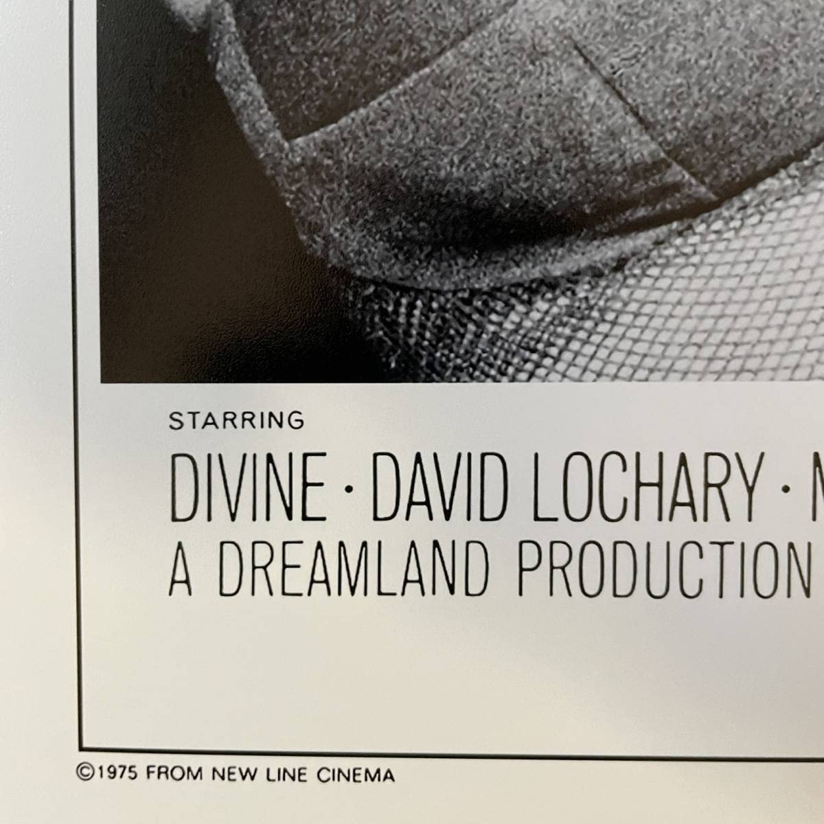 Amazon.co.jp: ポスター フィメール トラブル Female Trouble 29.7cm