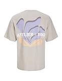 Jack & Jones Jjeames Tee SS Crew Neck, Moonbeam, L