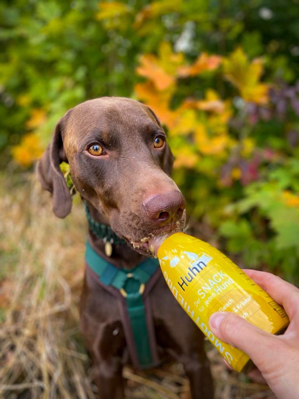Hunde Smoothie SmoothieDog 12er Huhn - Flüssiges Hundeleckerli - Zucker- & glutenfrei - je 250ml