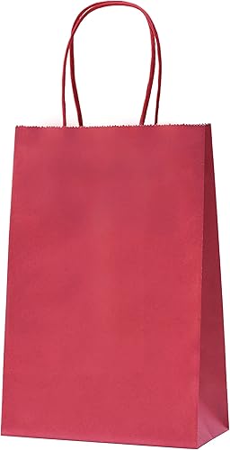 Nexmint Bolsas de papel kraft pequeñas de regalo con asa para cumpleaños, vacaciones, regalos, recuerdos de fiesta, venta al por menor,