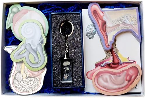 Ear Set (12)