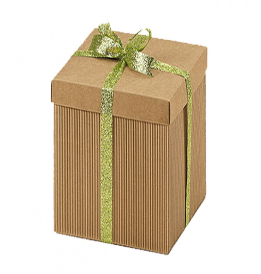 Scatole Plastica Per Trasloco Resistenti - Foto 2