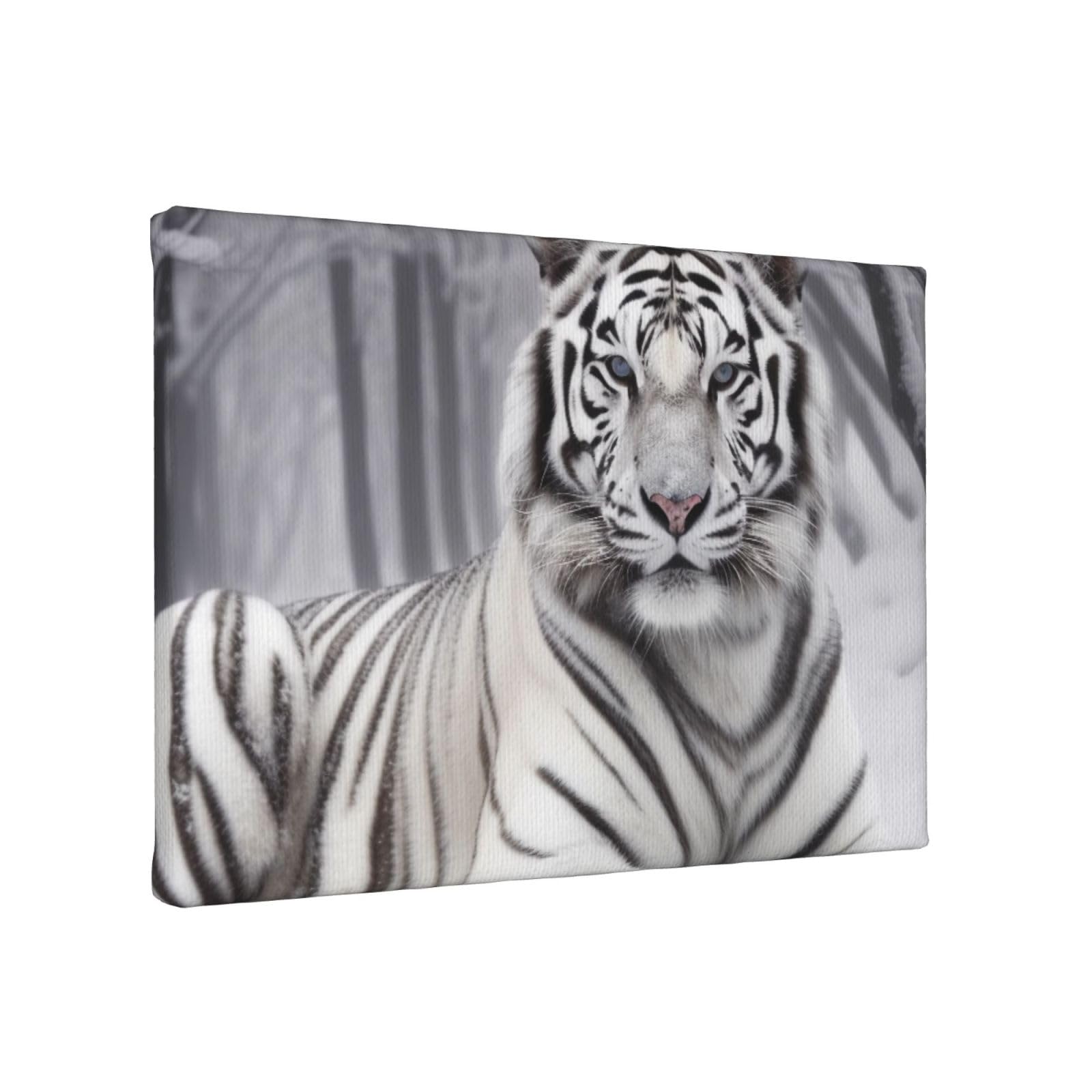 YKLJG the wild White tiger Printed Wall Art Canvas Painting 30x20 CM Wooden Framed Picture Painting Artwork Prints for Bedroom Kitchen Home Office Decor