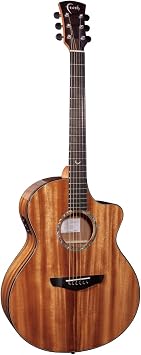 Faith FNCE-HM Harvest Moon Electric Acoustic Guitar Solid Torrenbesi Body