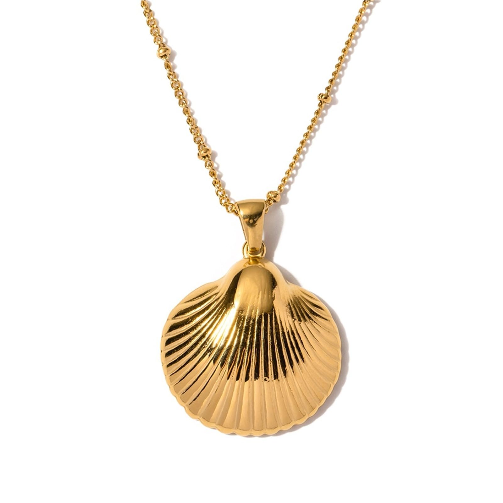 Collier coquillage escargot en acier inoxydable aux finitions miroir - 4
