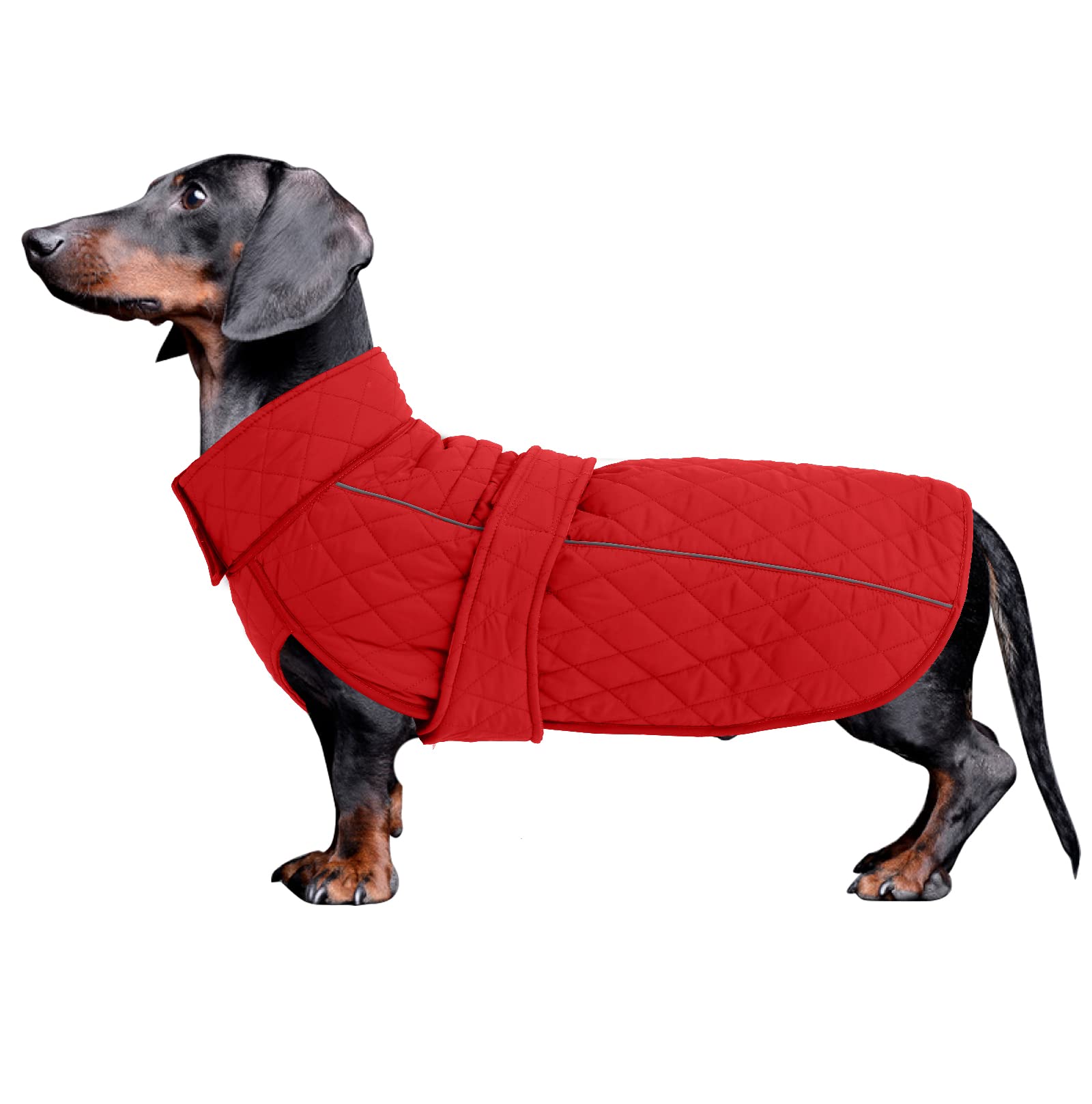 Dachshund Winter Coat Perfect for Dachshund Weiner Corgi Clothes Jacket Fleece Dog Clothing Reflective Stripe underbelly Protection Red L