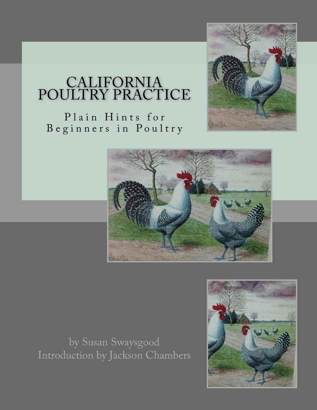 California Poultry Practice: Plain Hints for Beginners in Poultry