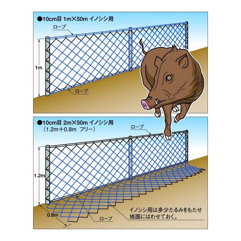 Amazon | 防獣ネット 猪用 網目10cm 幅1m 長さ50m 380d×72 青 東京戸張 Amazon | 防獣ネット 猪用 網目10cm 幅1m 長さ50m 380d×72 青 東京戸張