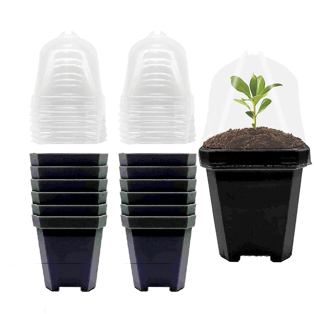 SEIWEI Plant Flower Nursery Pots, 13.5cm Black Plastic Seed Seedling Pots with Humidity Dome and Tray, Square Flower Pots for Vegetables Flowers Succulents, Pack of 12