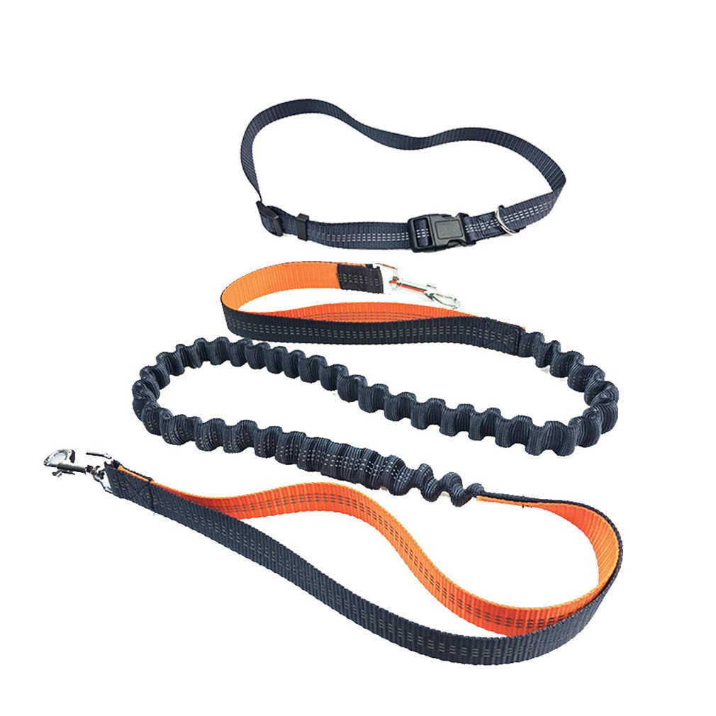Peting Multi Function Hands Free Nylon Hundeleine mit reflektierenden Bungee Bundled mit Hund Abfall Dispenser und Taschen Perfekt für Laufen, Walking, Training
