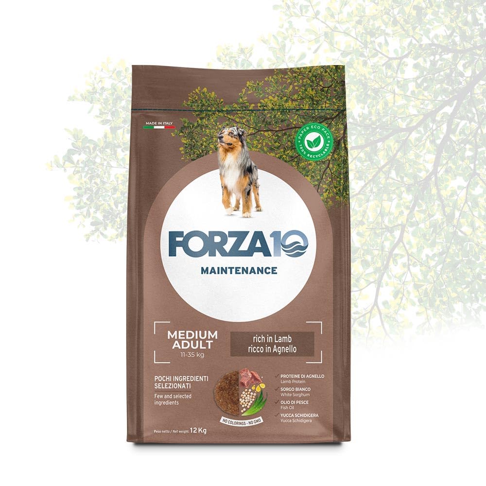 Forza10 Cane Maintenance Medium Adult Agnello - 12kg