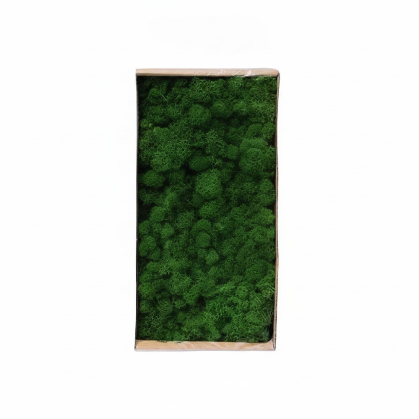 Muschio Stabilizzato Resistente Muschio Decorativo Flessibile Piante per Decoratori, Verde Scuro 1