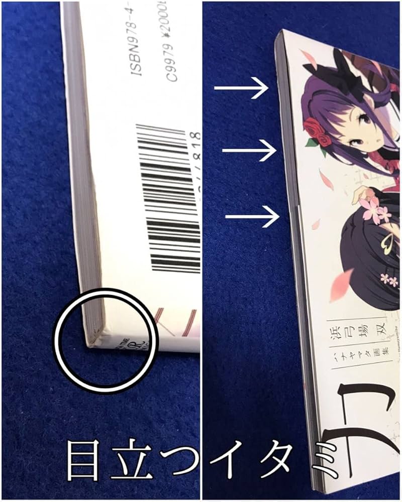 浜弓場双展　直筆サイン入り　描き下ろしアートグラフ　おちフル　ハナヤマタ おちこぼれフルーツタルトアニメ化記念 浜弓場 双 作品展 直筆