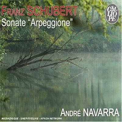 Schubert : Arpeggione Sonata