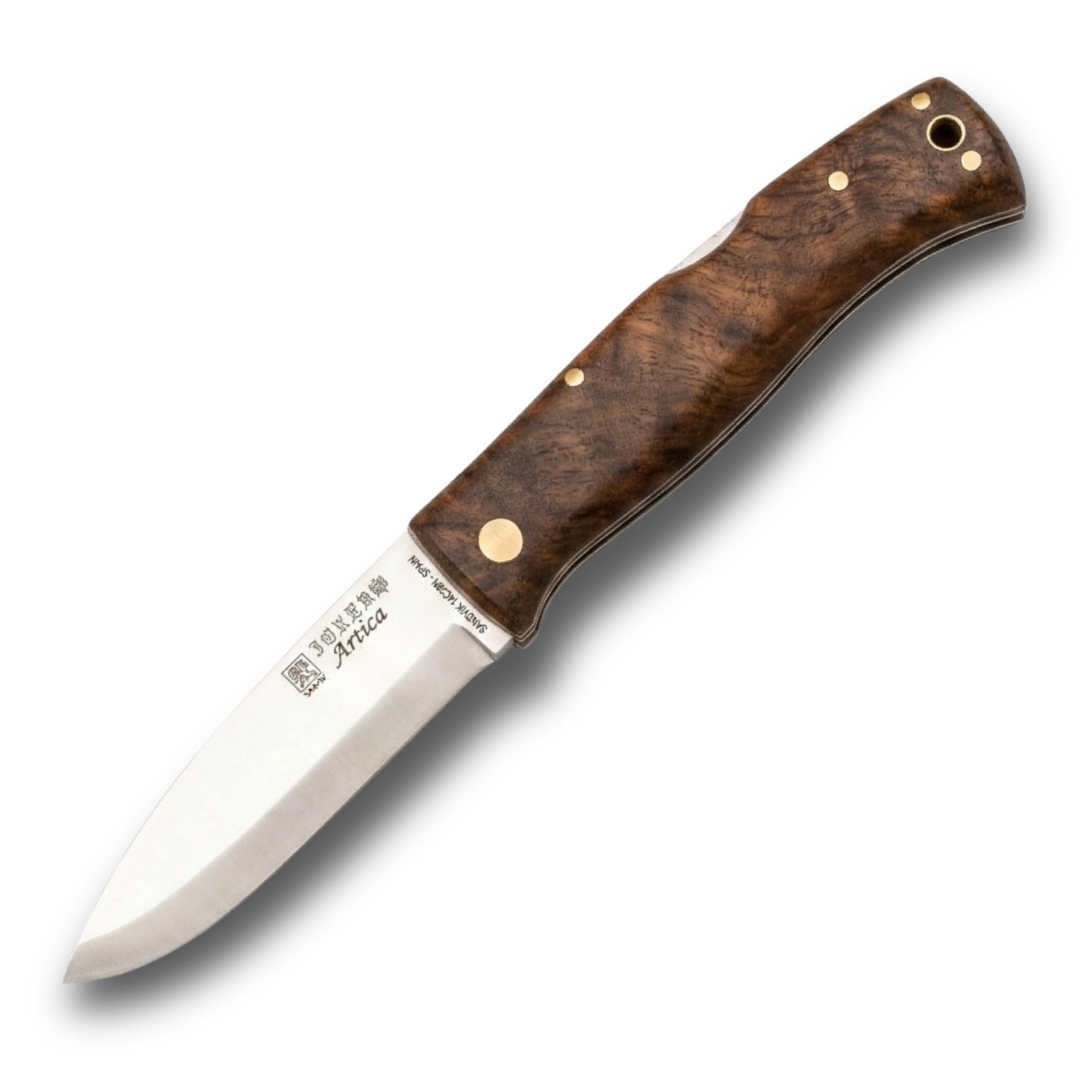 Joker ARTICA 155 folding knife with different handles, 3.14in blade. 14c28n, Scandi grind, fishing, hunting, camping and hiking tool (Walnut Handle)