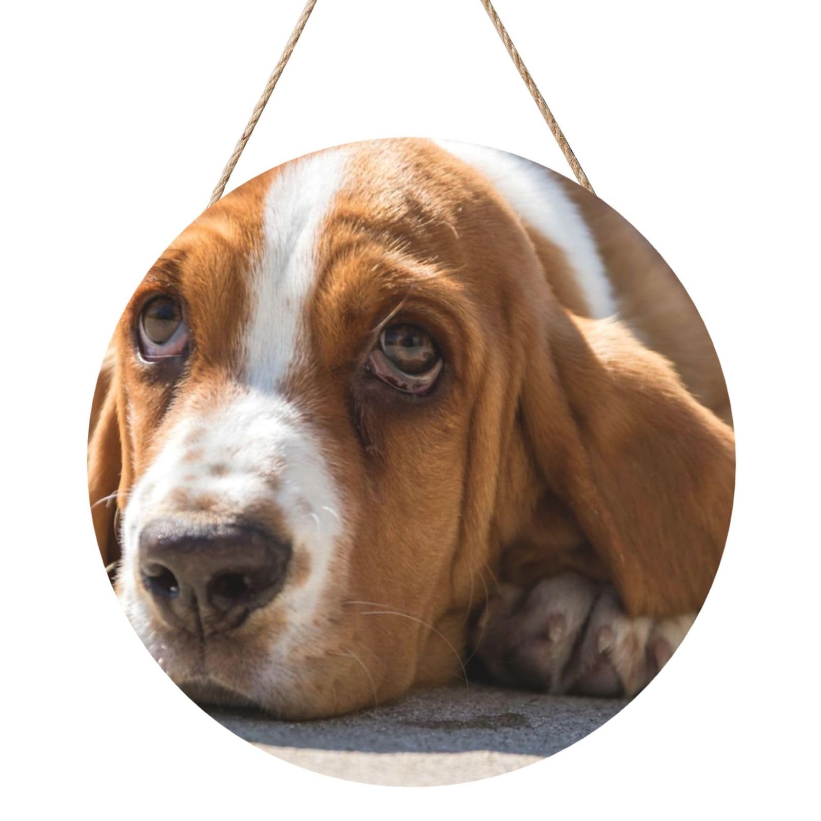 InOmak Basset Hound, Round Wood Panel Painting 12 in, Wall Hanging Painting For Home
