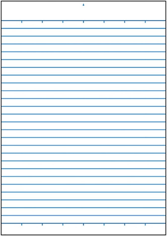Maruman P160A Report Paper, Report Pad, Memory Included, 0.3 inch (7 mm) Ruled, A5, Set of 10