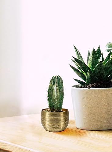 Miniatura 5 de Serene Spaces Living Juego de 12 cuencos de aluminio grabados en oro portavelas flotantes florero decorativo popurrí captura para entrada centro de