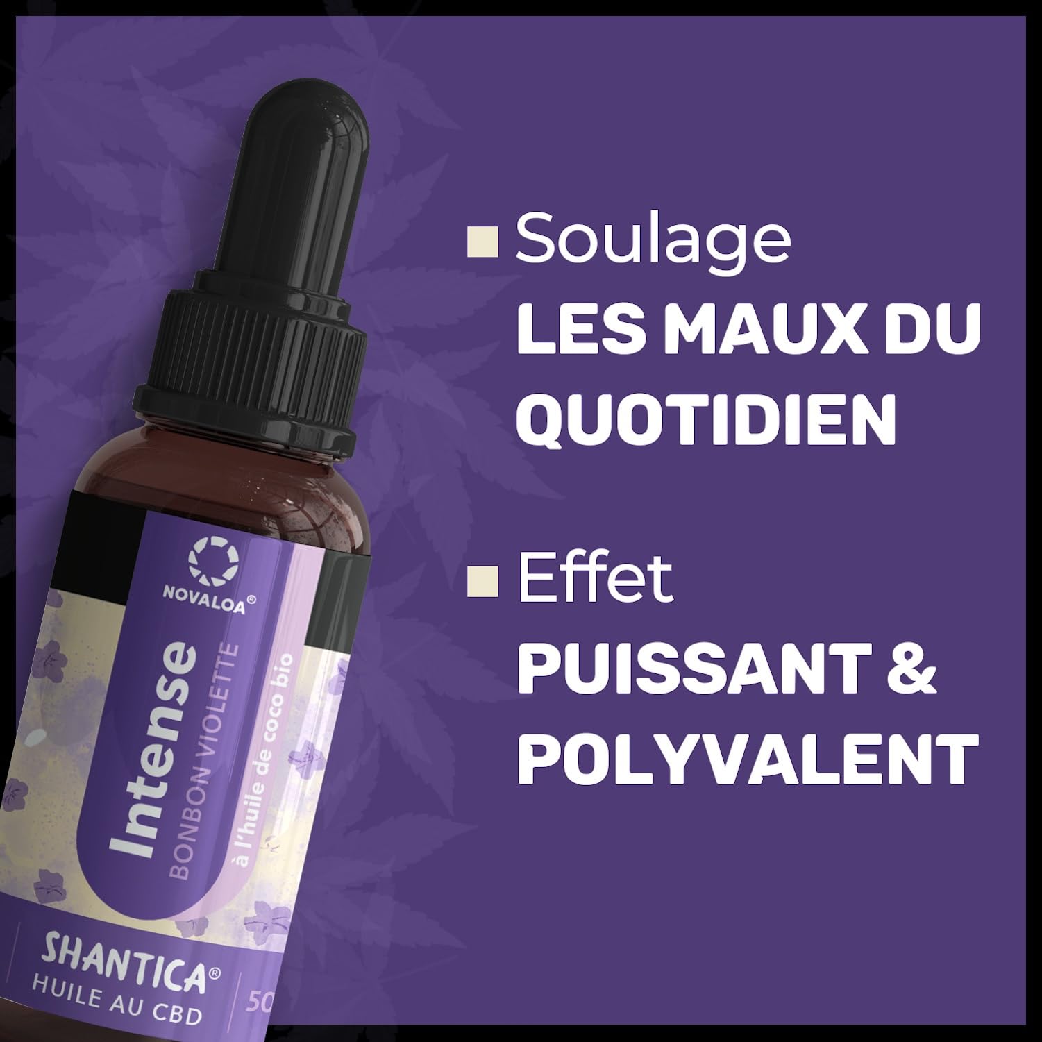 Huile L'Intense - À Partir d'Huile de Graines de Chanvre Pressées à Froid 5000mg - Bonbons Violettes & Fruits Rouges - Fabriquée en France - 10 ml