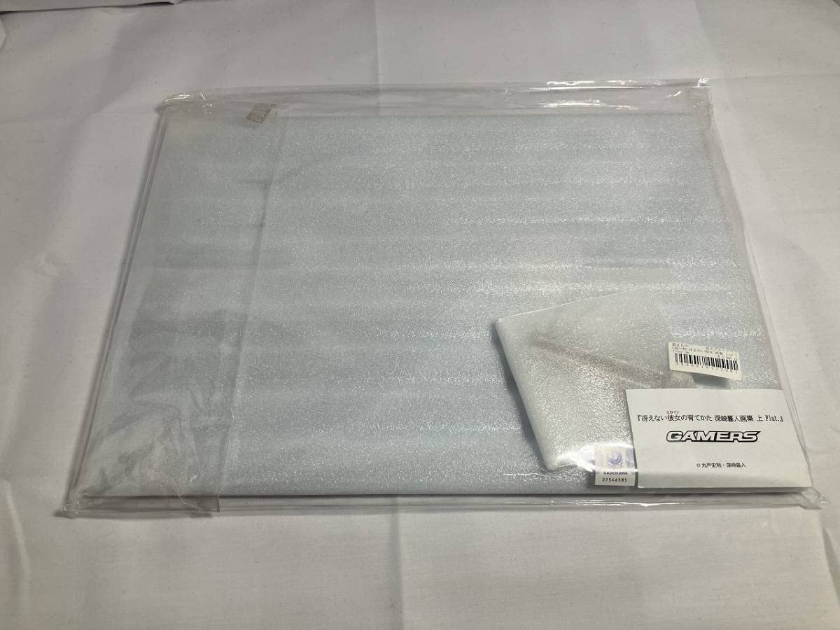 Amazon.co.jp: 冴えない彼女の育てかた 深崎暮人画集 上 Flat