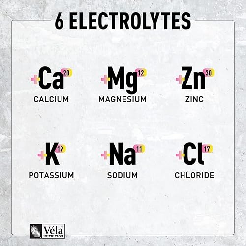 Miniatura 4 de Véla Mezcla de electrolitos + polvo energético para antes del entrenamiento (90 porciones  Lemon Berry) con 0 azúcar+BCAA + suplemento de