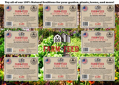 Fertilizante Granulado de Melaza Secada Natural 2 Libras miniatura 6