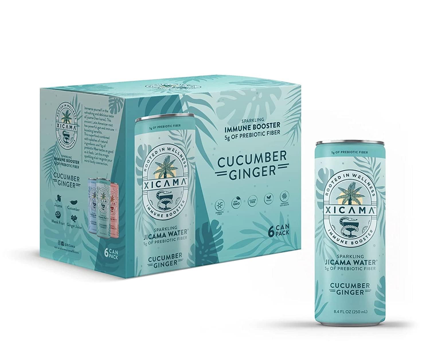 Xicama Sparkling Jicama Water - Cucumber Ginger - R2D - 6 Pack