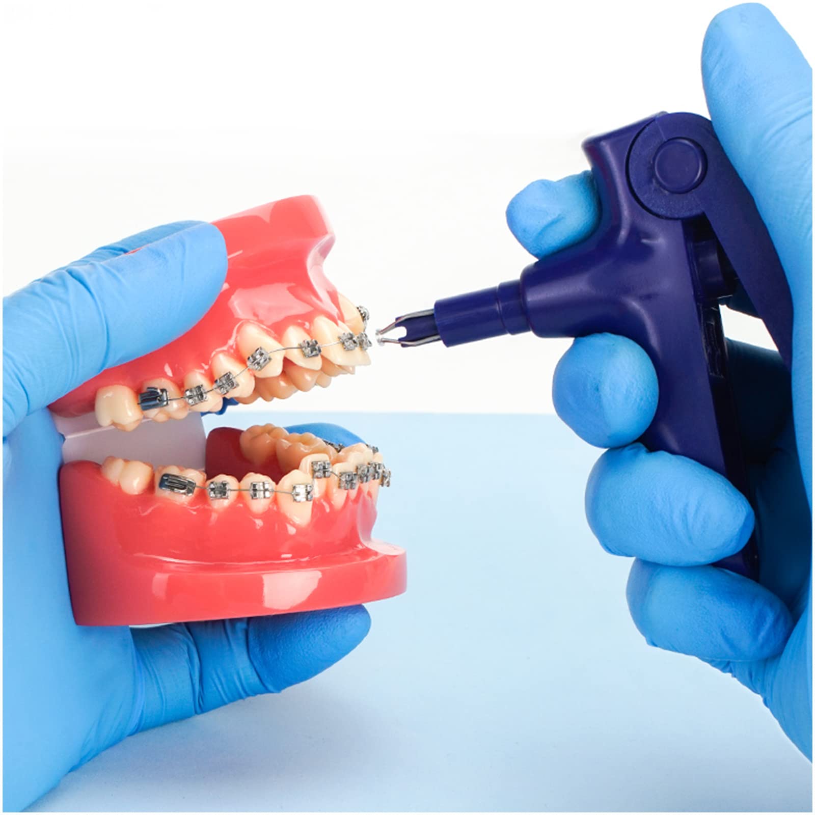 Model zębów dentystycznych-model demonstracyjny ortodoncji-dentystyczny z metalowymi wspornikami model zębów ortodontycznych do celów edukacyjnych nauka narzędzie dydaktyczne(A) (A)