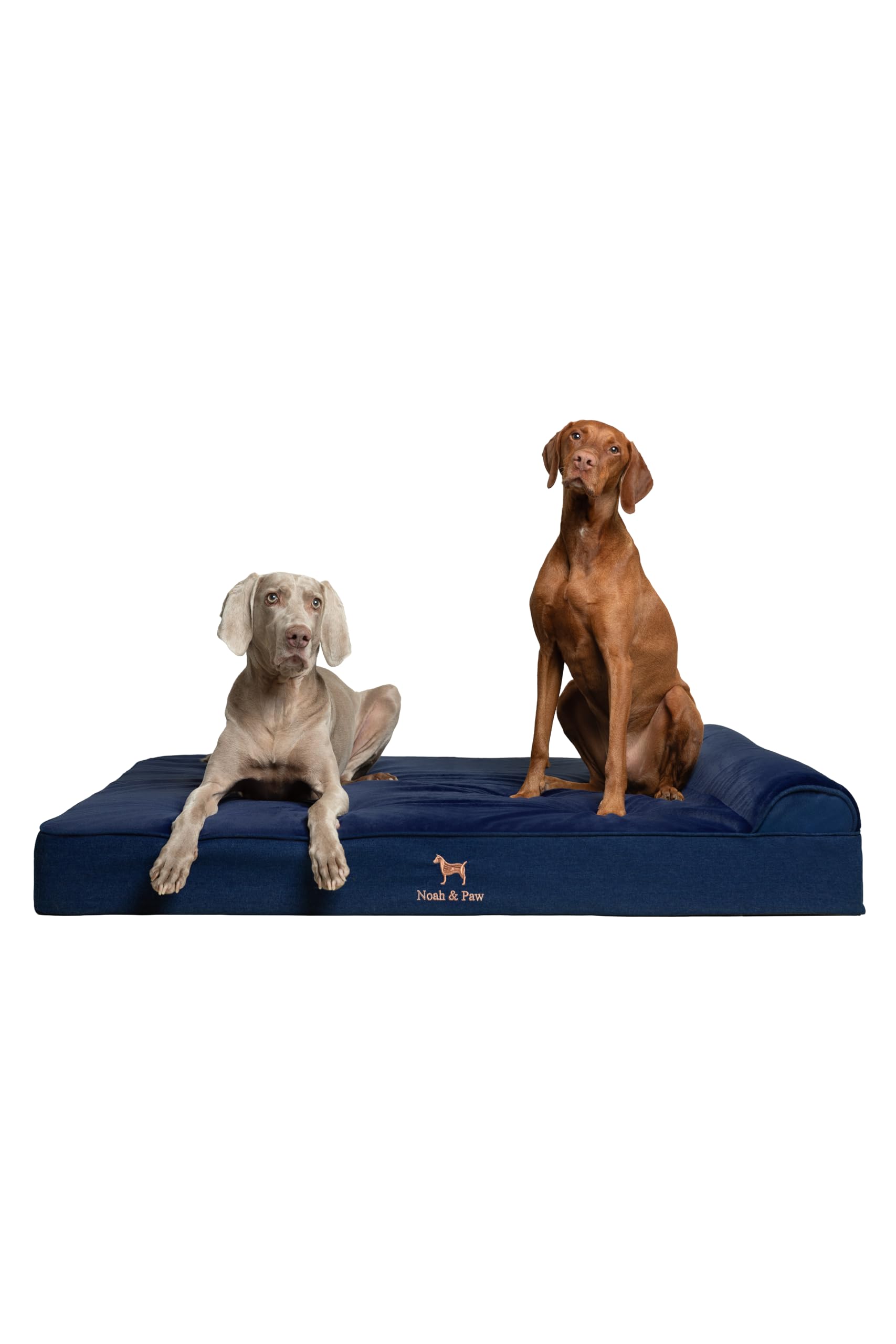 NOAH PAW Giant Dog Bed XXL 55x45x9 5 Inch Orthopedic Dog Beds Eggshell Memory Foam Infused with Cooling