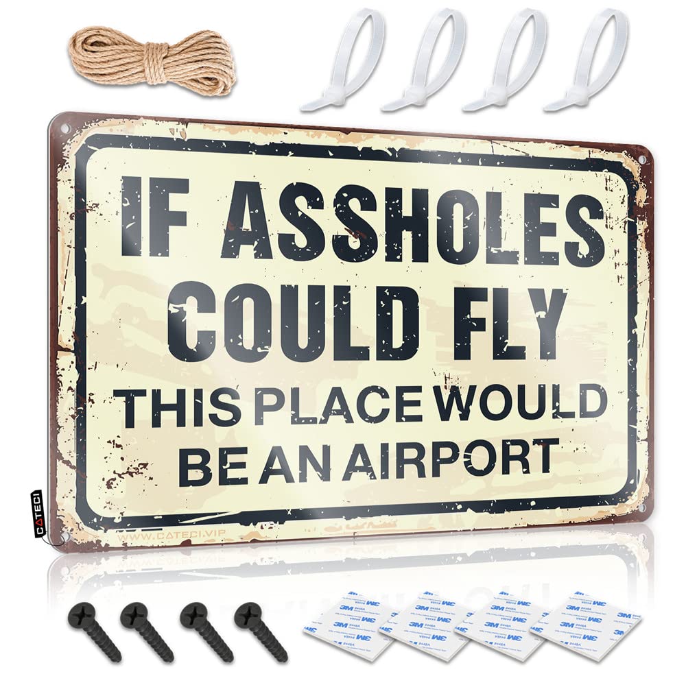 Funny Signs For Home Decor If Assholes Could Fly This Place Would Be An Airport Sign Metal Signs For Home Decor Funny Street Signs(30X40CM)